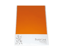 Karton A4 paperline orange