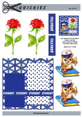 3D ark Quickies Blå studenter ugle med rose og baggrund
