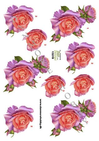 3D ark Dan-design Lilla og rødelig roser