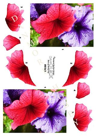 3D ark Dan-quick blomster rød, lilla