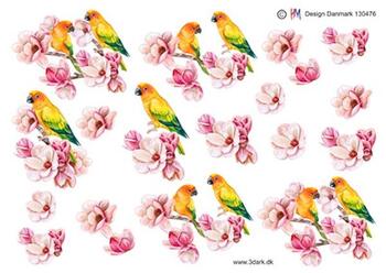 3D ark HM-design Søde papegøjer og lyserøde blomster