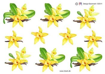 3D ark HM-design Vanilje orkide, gul