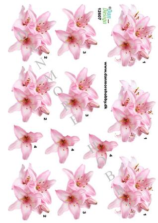 3D ark Dan-design blomster lyserød