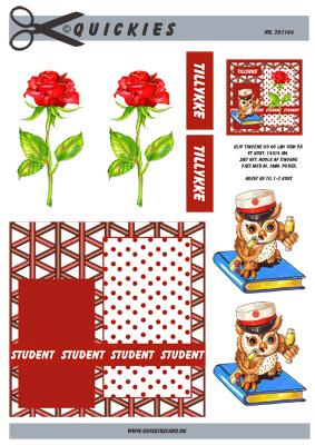3D ark Quickies Rød studenter ugle med rose og baggrund