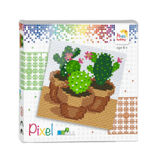 Pixel billede kaktus