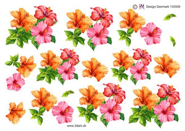 3D ark HM-design Petunia, blomste