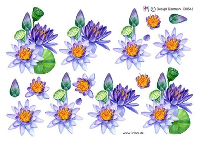 3D ark HM-design smuk blå lotusblomst