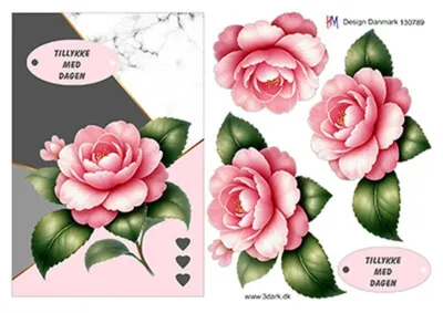 3D ark HM-design Stort kort med blomst