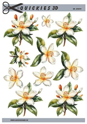 3D ark Quickies Æbleblomst på stik