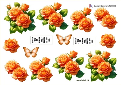 3D ark HM-design Orange roser