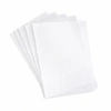 Paper Favourites Vellum Paper "Silver White" PFSS912