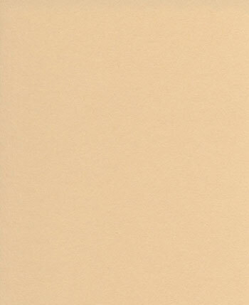 Karton sand/hud A4, 180g