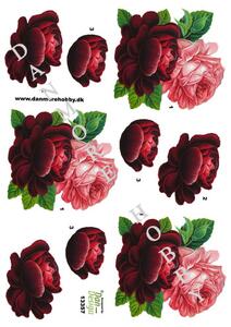3D ark Dan-design Rød og lyserød rose