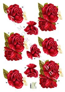 3D Dan-design blomst rød rose