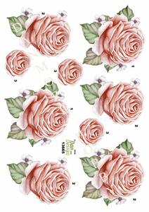 3D ark Dan-design blomst, rose
