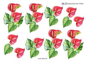 3D ark HM-design rød calla blomst