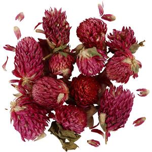 Tørrede Blomster, Rødkløver, L: 1,5-2,5 cm, 1 - 1,5 cm, 15 g, Lilla