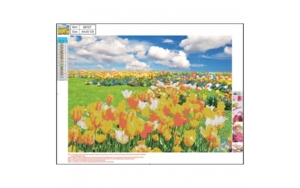 Diamond Painting 30*40cm Tulipanmark
