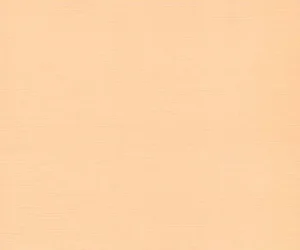 Karton Linnen 250g, lakse 30,5x30,5cm